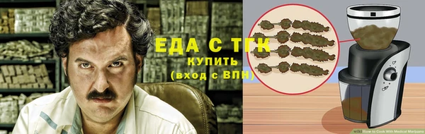 индика Горно-Алтайск