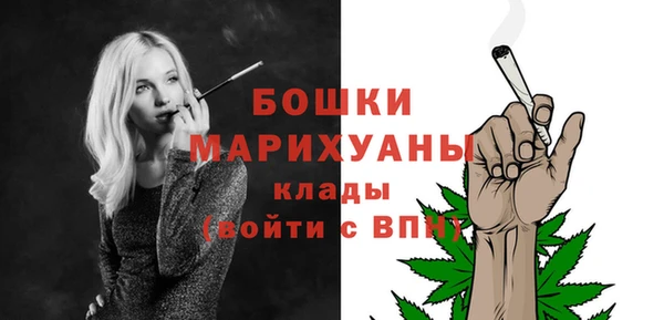 индика Горно-Алтайск