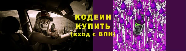 дживик Горняк