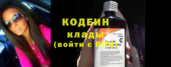 индика Горно-Алтайск