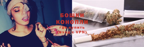 дживик Горняк