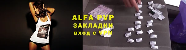 СК Горнозаводск
