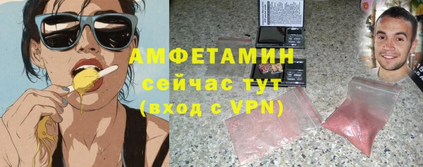 индика Горно-Алтайск