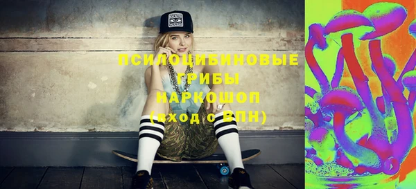 индика Горно-Алтайск
