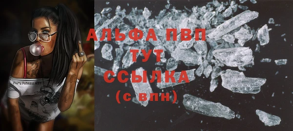 индика Горно-Алтайск