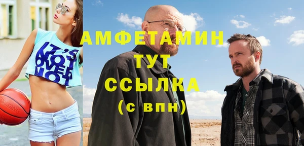 дживик Горняк