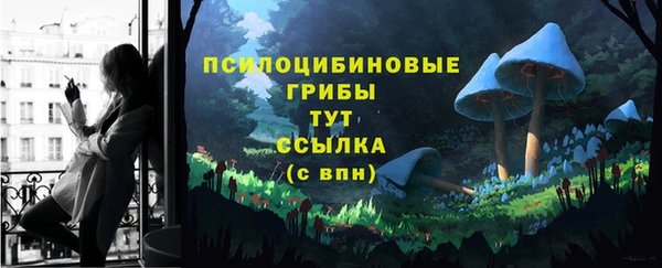 дживик Горняк