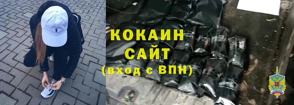 дживик Горняк