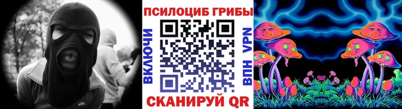 Купить где Таруса Псилоцибиновые грибы мицелий